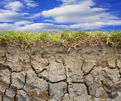 土壤污染状况调查