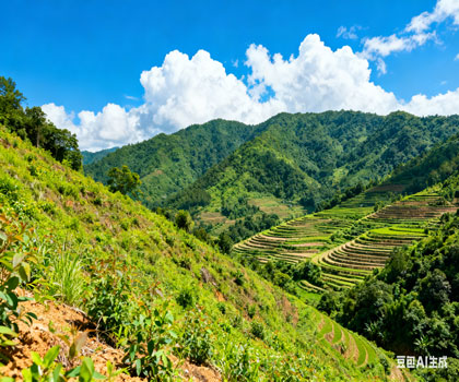 水土保持方案报告